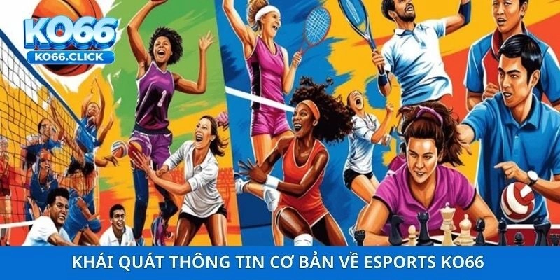 Khái quát thông tin cơ bản về Esports KO66 