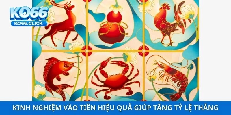 Kinh nghiệm vào tiền hiệu quả giúp tăng tỷ lệ thắng